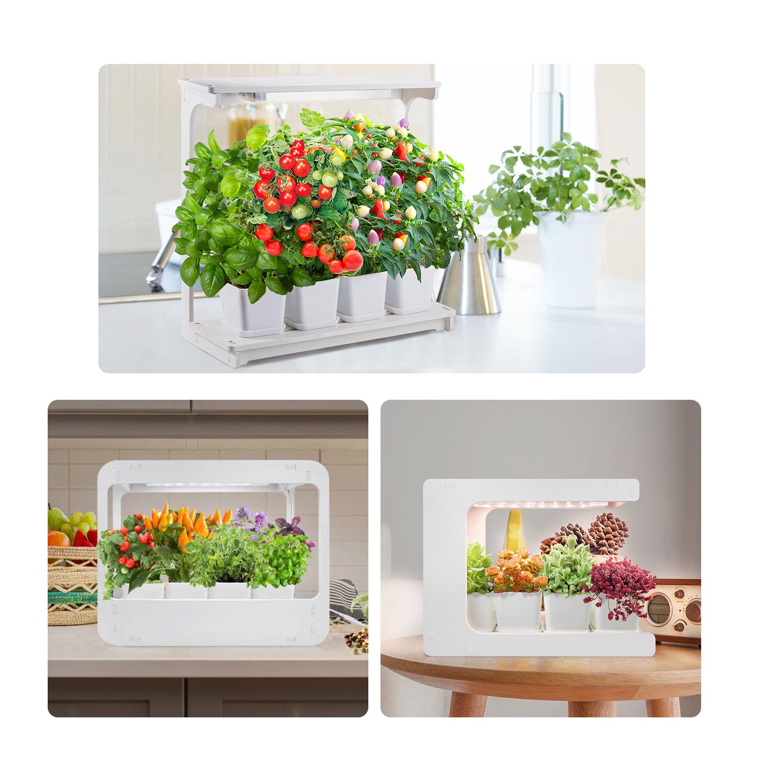 J&C Minigarden Decorative Indoor Garden Smart Plant Table Grow Light Countertop Grow Lamp Plant Starter