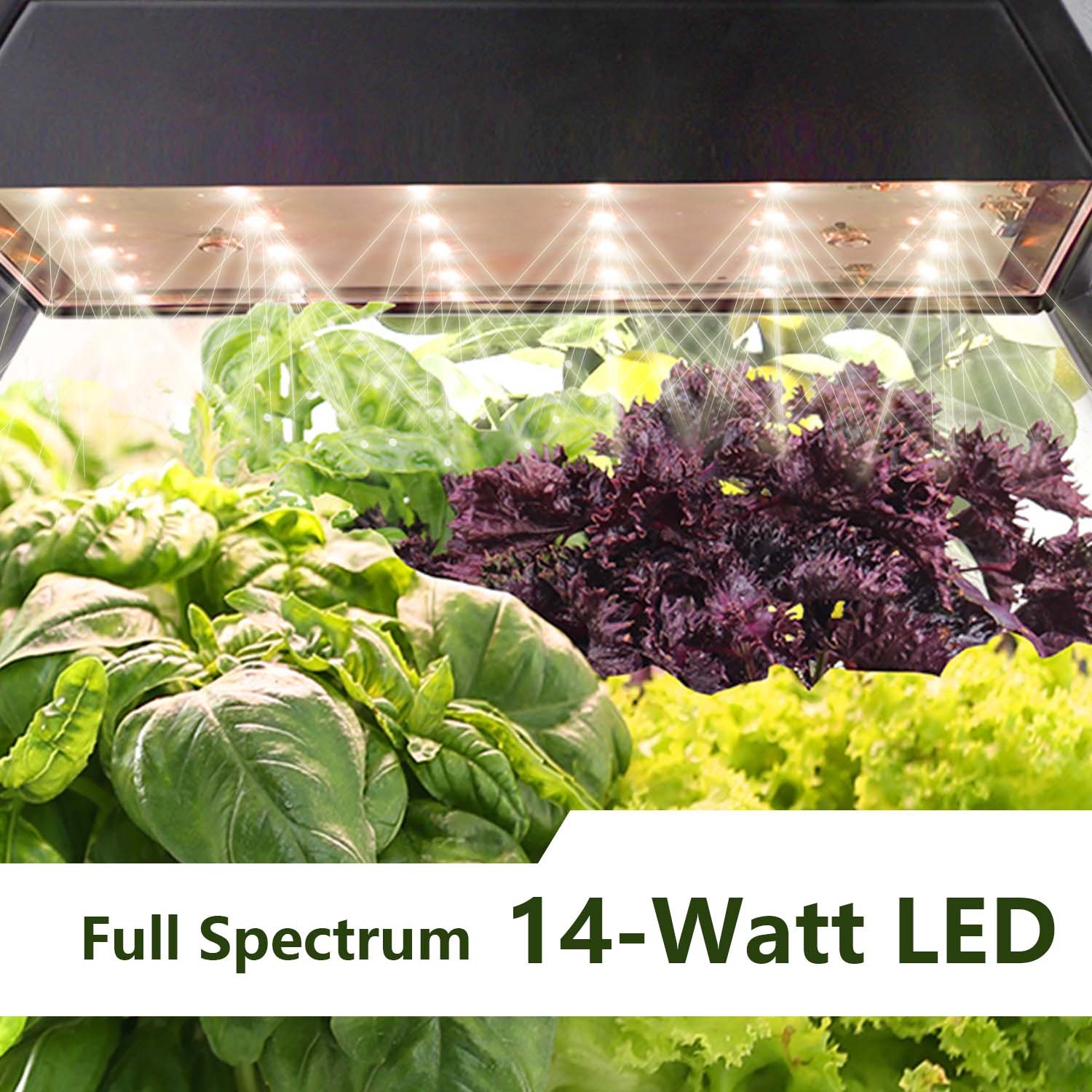 J&C Minigarden Decorative Indoor Garden Smart Plant Table Grow Light Countertop Grow Lamp Plant Starter