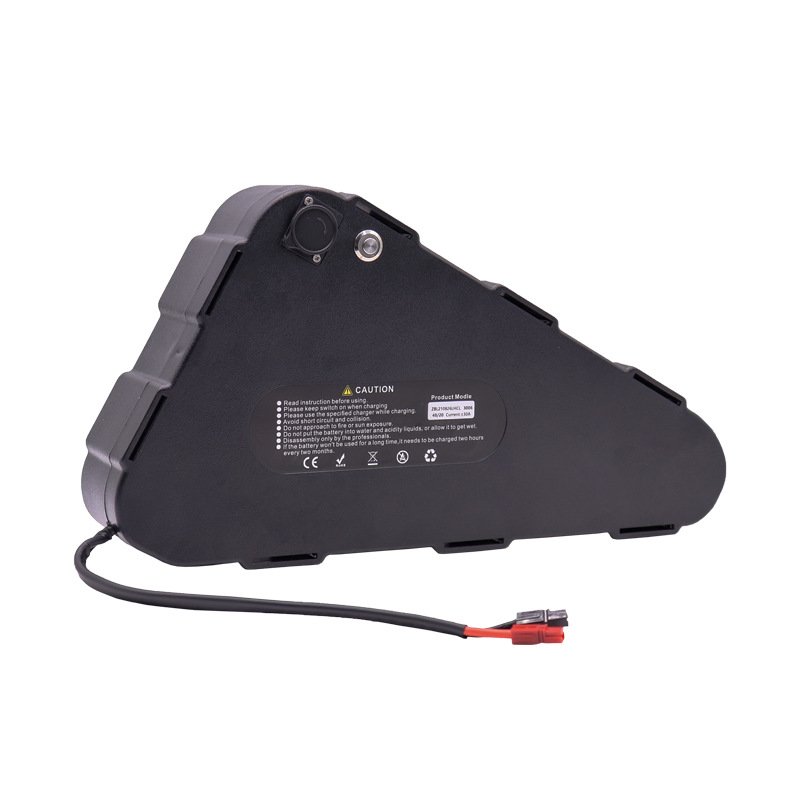48V 20A Lithium Ion 18650 Battery Pack of Lithium Ion Batteries Triangular Shape Used for E-bike for Scooter Electric Bicycle