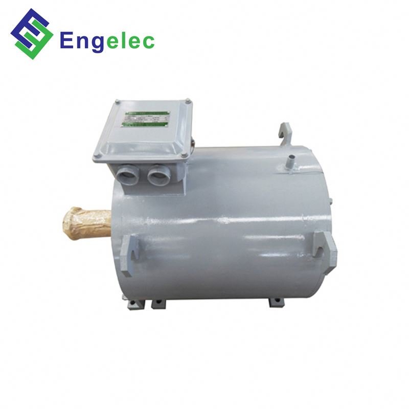 12V-380V AC/DC 100W-100KW 30rpm-6000rpm 48v 10kw Permanent Magnet Alternator