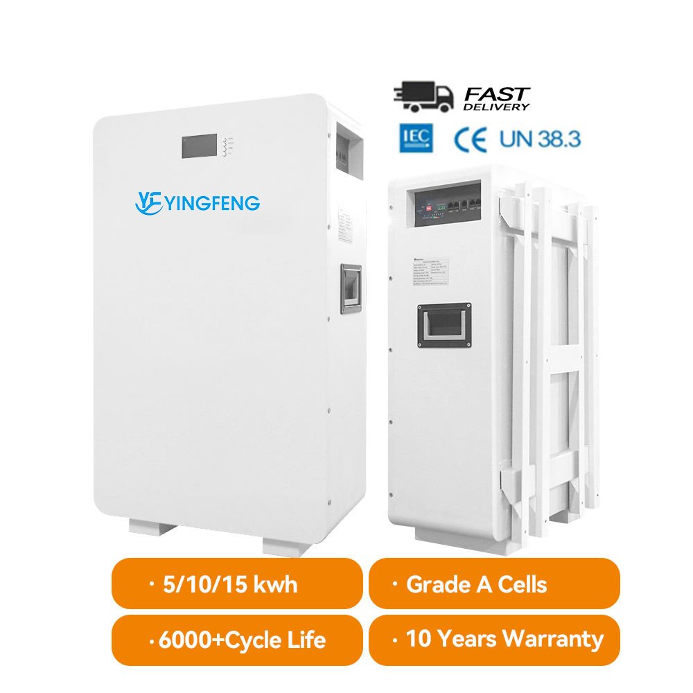 51.2v LiFePO4 100Ah Lithium Battery Module Wall-Mounted 5kWh 20kWh 10kWh Home Energy Storage Pack 12v with BMS Protection