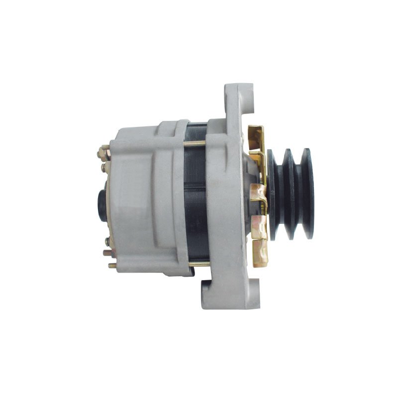 14V/100A AC Alternator for SHB 3212.3771 3212.3771000 3212 3212M.3771