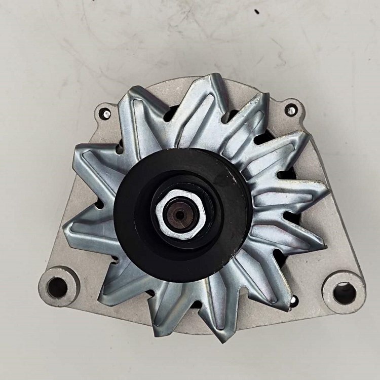 Heavy Duty 50 Rpm Permanent Magnet Generator JFZ255-024 VG1560090012 Collector H100 Alternator Car