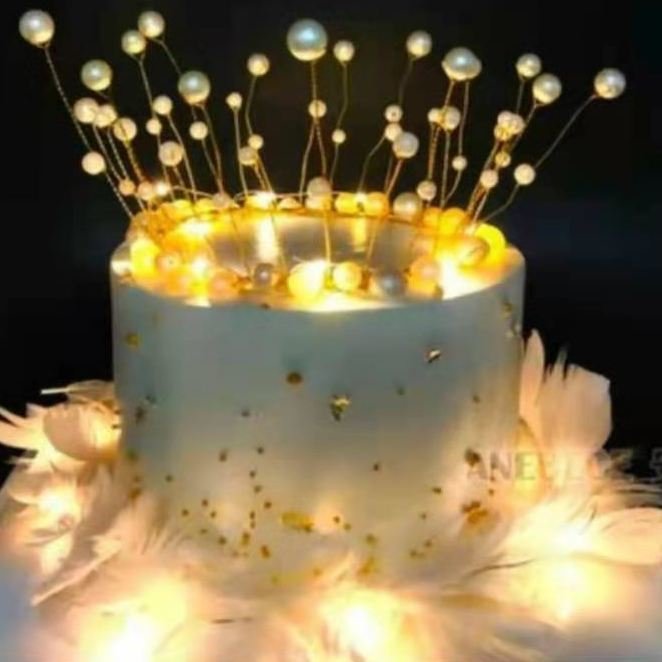 1M 2M 3M 20 LED High Quality CR2032 Button Battery Operated Mini Copper Wire LED Fairy Starry String Lights for Wedding Party