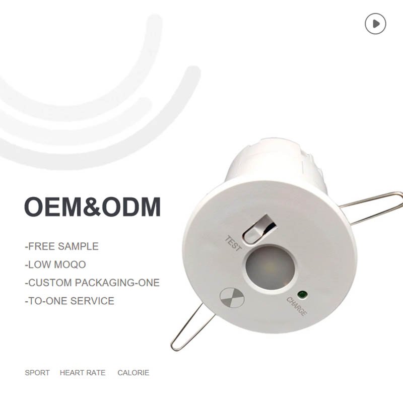 2W LED Downlight With Battery Backup Recessed Mounted Ceiling Emergency Lights for Home Power Cut