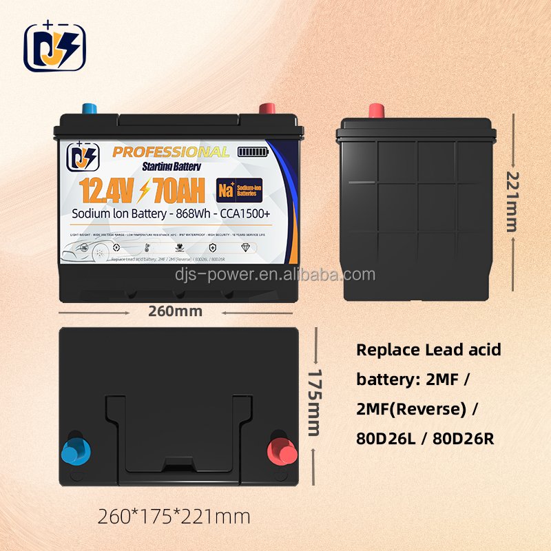 12V 40Ah 1000CCA Auto Truck Sodium Start-stop Automotive Batteries Na-ion 12.4V 12 Volt Car Starting Boat Cranking Battery