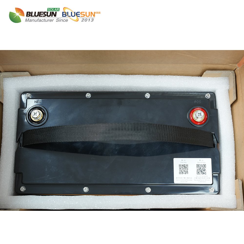 Hot Sales 24V Lithium Ion Batteries 12V 48V 51.2v 50Ah 100Ah 200Ah 300Ah 400Ah Energy Storage Battery LifePo4 Battery With BMS