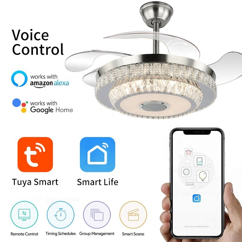744D Smart 42-Inch Bladeless Ceiling Fan with Remote Control and Project Installation for Room Use