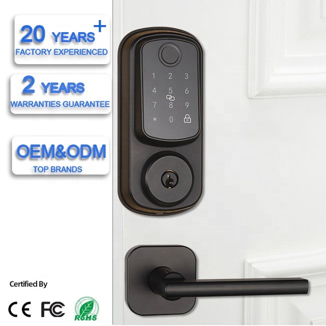 Smart Front Door Lock Set Electronic Keypad Deadbolt Lock Keyless Entry Door Lock with Handle