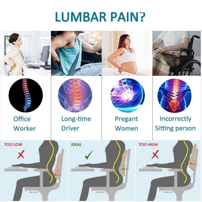 Mesh Cover Double Adjustable Straps Lumbar Support Pillow for Office Chair Back Support Pillow for Car, Computer Recliner Memory