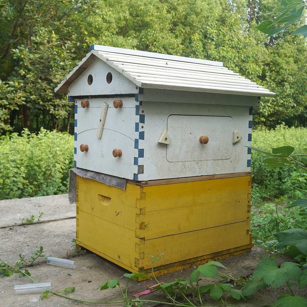 Auto Flowing Beehive Honey Box Bee Hive Automatic Honeybee Hive With 7Pcs Flowing Frames Starter Kit