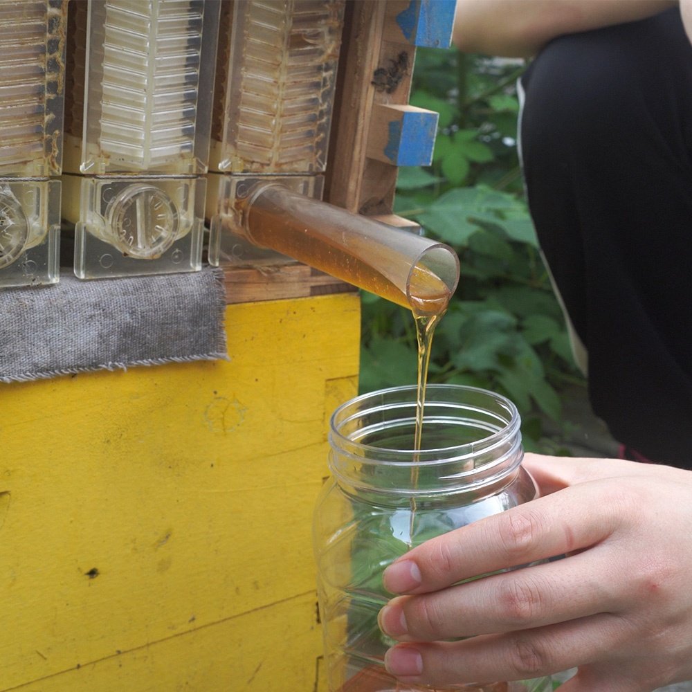 Auto Flowing Beehive Honey Box Bee Hive Automatic Honeybee Hive With 7Pcs Flowing Frames Starter Kit