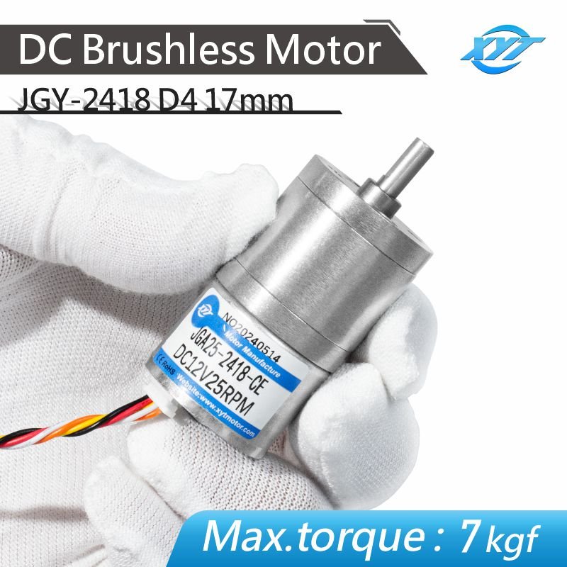 Factory Electric Brushless Dc Motor 12V 24V 24mm 36mm 42mm Diameter High Torque High Speed 24 Volt Electric Micro Bldc Motors