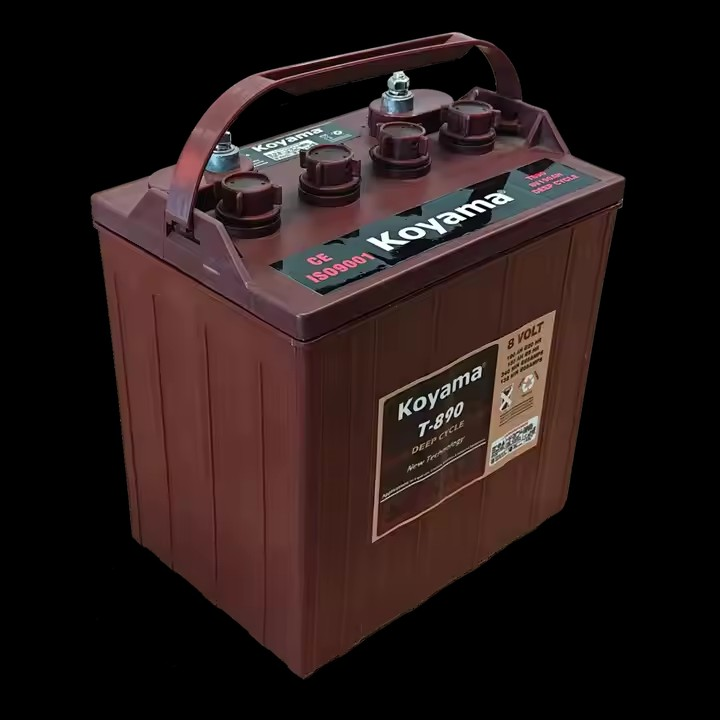 Factory Deep Cycle Tubular Battery T-890 Lead Acid Batteries for 24v/36v/48v Forklift/Golf Carts/Boat OEM 8V190Ah High-Quality