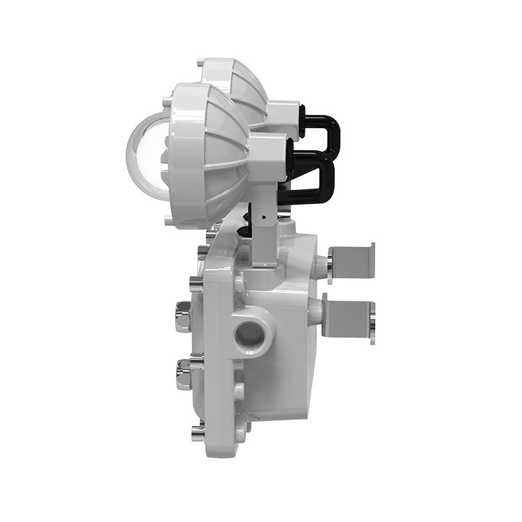 Factory Price Wall Mounted Explosion Proof Double Twin Head Light Emergency Luminaire IECEx ATEX Listed