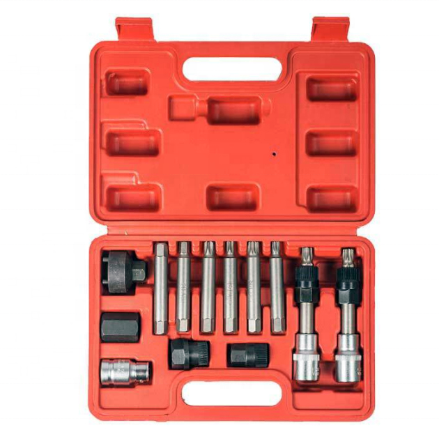 13PC Professional Alternator Freewheel Pulley Removal Socket Bit Set Garage Service Tool Kit