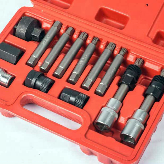 13PC Professional Alternator Freewheel Pulley Removal Socket Bit Set Garage Service Tool Kit