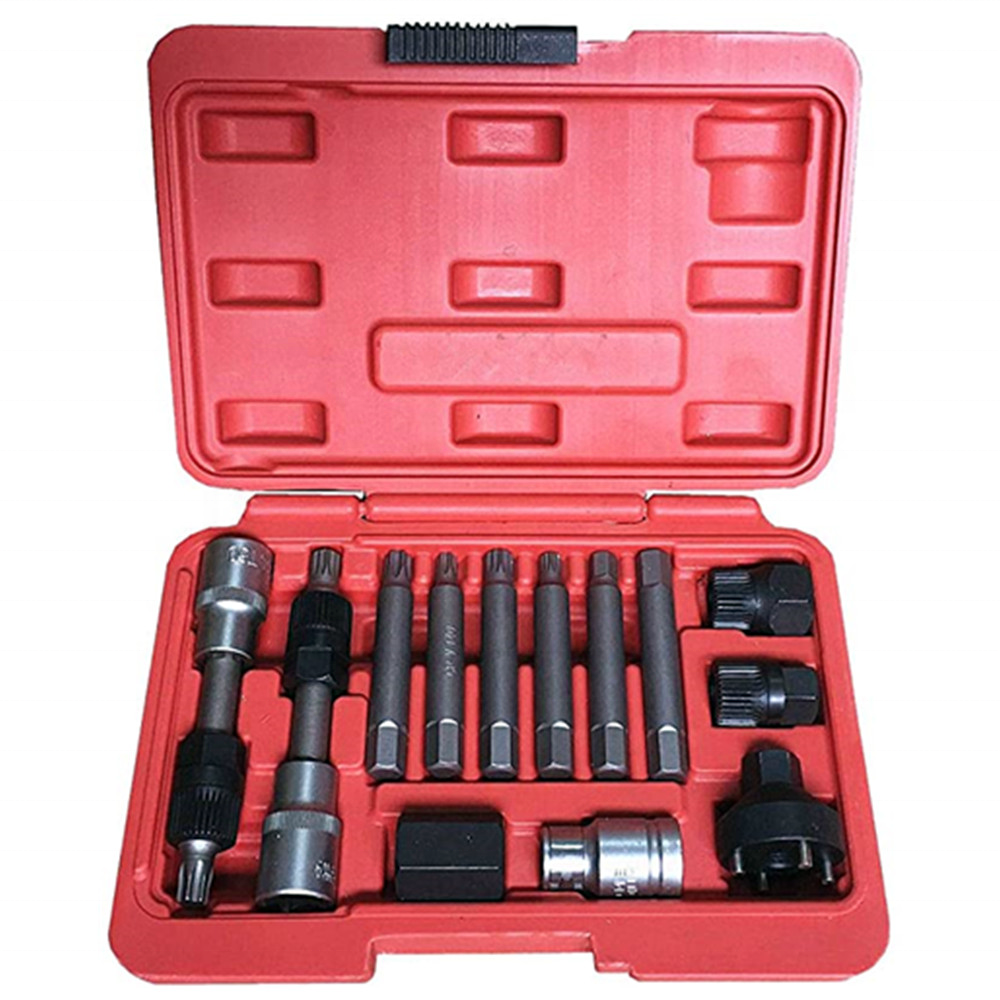 13PC Professional Alternator Freewheel Pulley Removal Socket Bit Set Garage Service Tool Kit