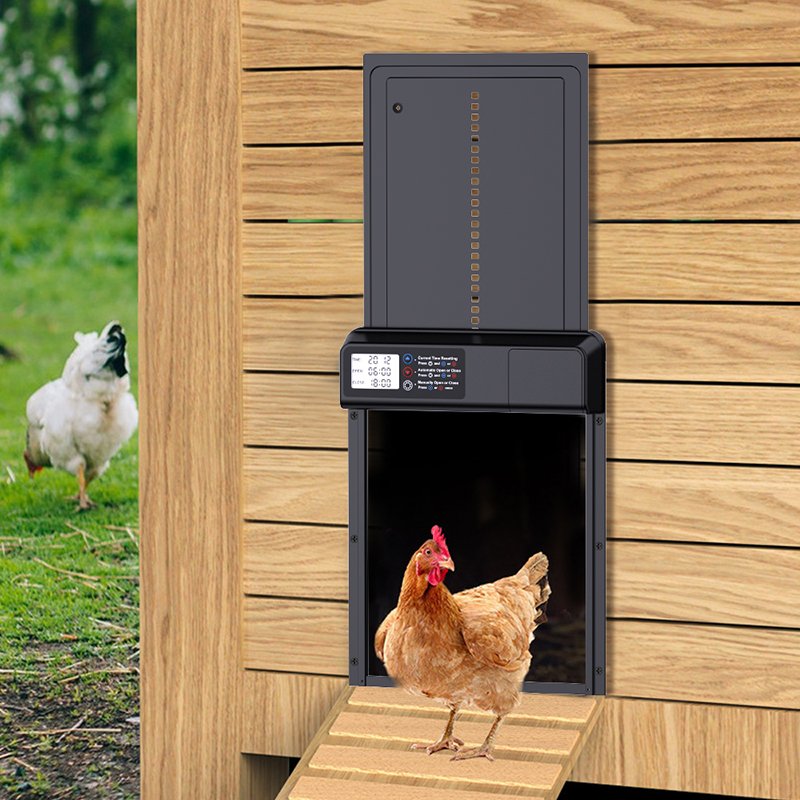 Black Low Power Waterproof Smart Chicken Coop Door with Timer Automatic Door for Chickens, Safe to Raise Chickens