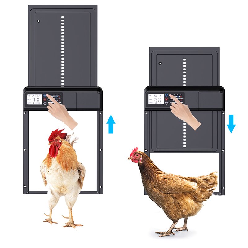 Black Low Power Waterproof Smart Chicken Coop Door with Timer Automatic Door for Chickens, Safe to Raise Chickens
