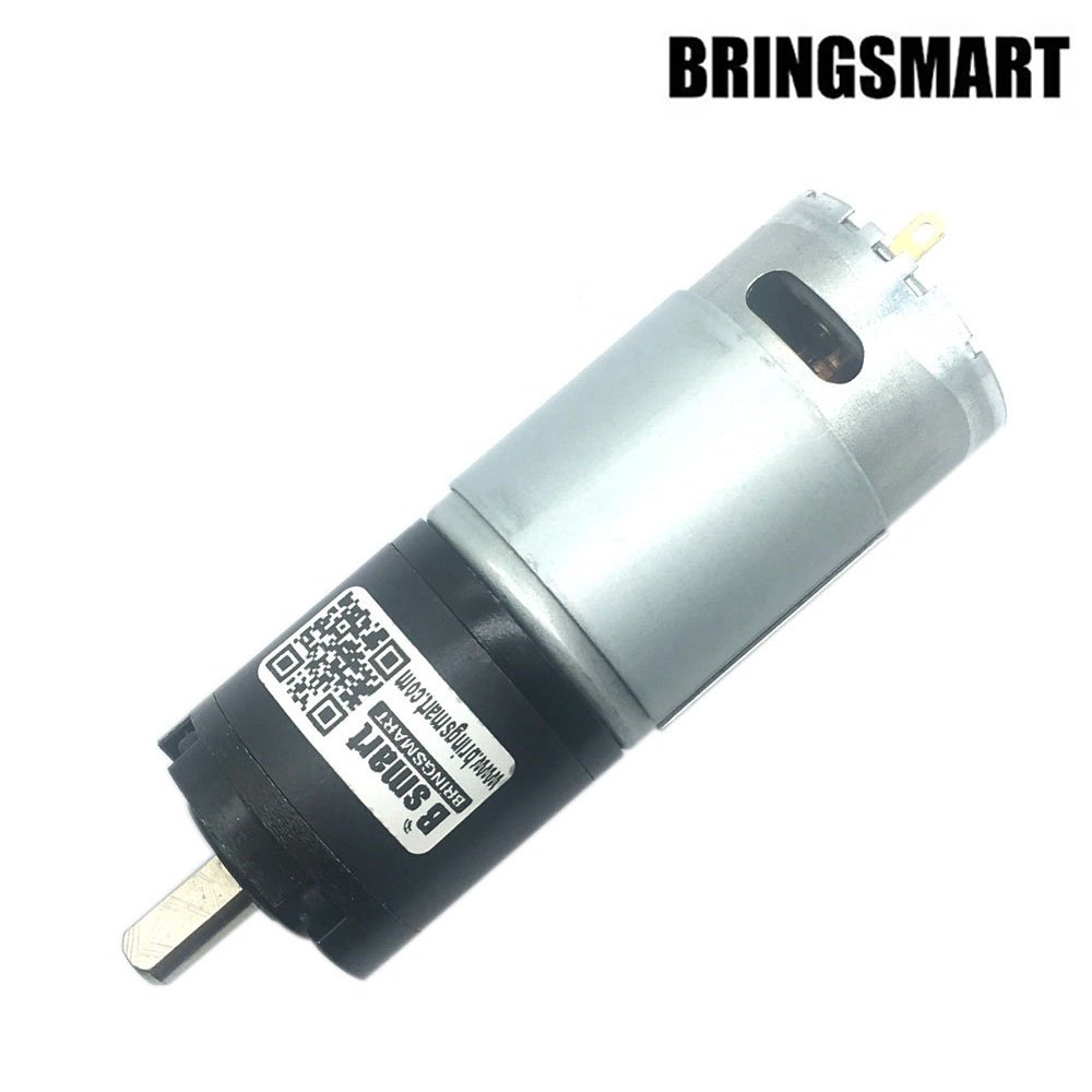 BRINGSMART Planetary Gear Motors SR36-555 Motors, Namely, Alternating Current Motors Not for Land Vehicles 12V 24V