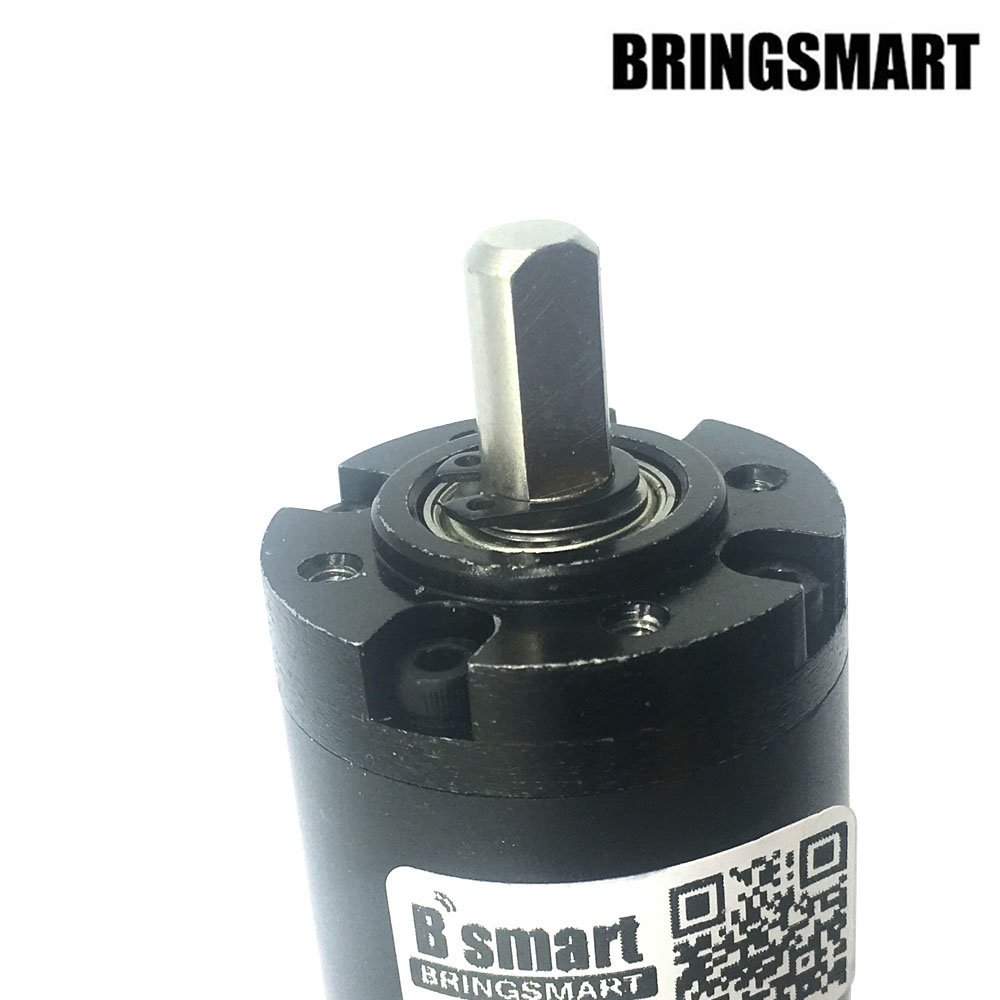 BRINGSMART Planetary Gear Motors SR36-555 Motors, Namely, Alternating Current Motors Not for Land Vehicles 12V 24V