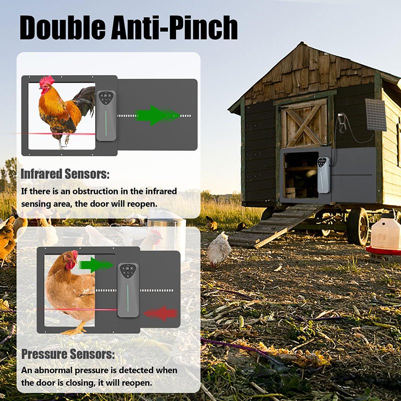 Automatic Chicken Coop Door Solar Powered Rechargeable Remote Control Auto Chicken Coop Door Solar with Timer and Light Sensor