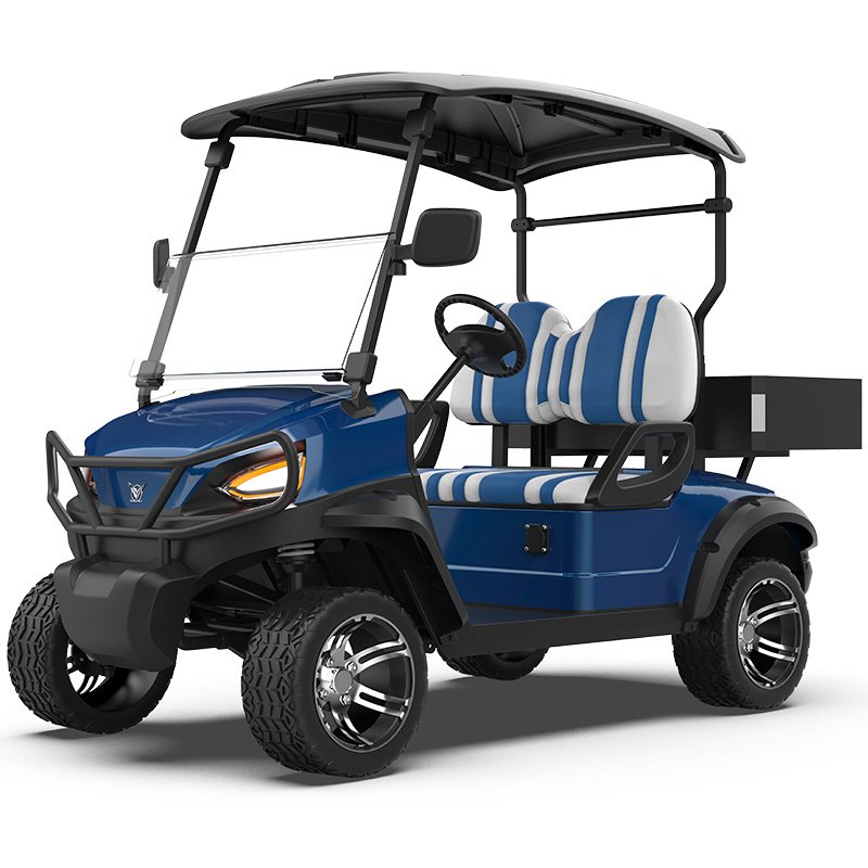 2 Seater Electric Golf Cart 5kW Motor Independent Suspension 48V Utility Buggy Independent Suspension 5kW Motor 2 Seater