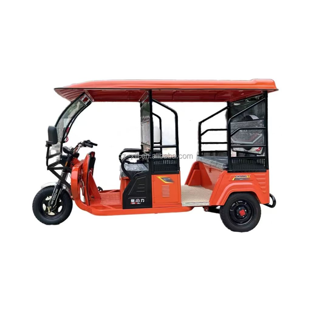 Chang Li Adult 5-6 Passager Keke Bajaj Electric Rickshaw Electric Tuk Tuk Tricycle Electric Tricycle for Adults