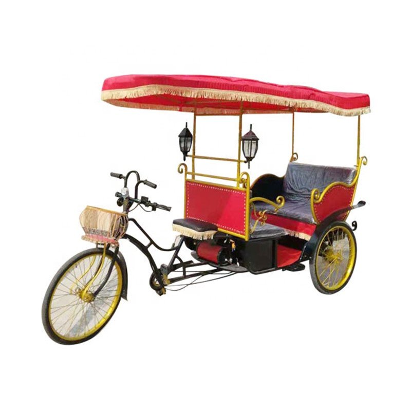 2/3/4/6/passengers Tricycle Tourist Electric Pedicab Rickshaw Auto Rickshaw for Travel