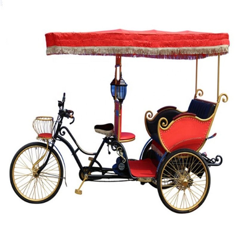 2/3/4/6/passengers Tricycle Tourist Electric Pedicab Rickshaw Auto Rickshaw for Travel