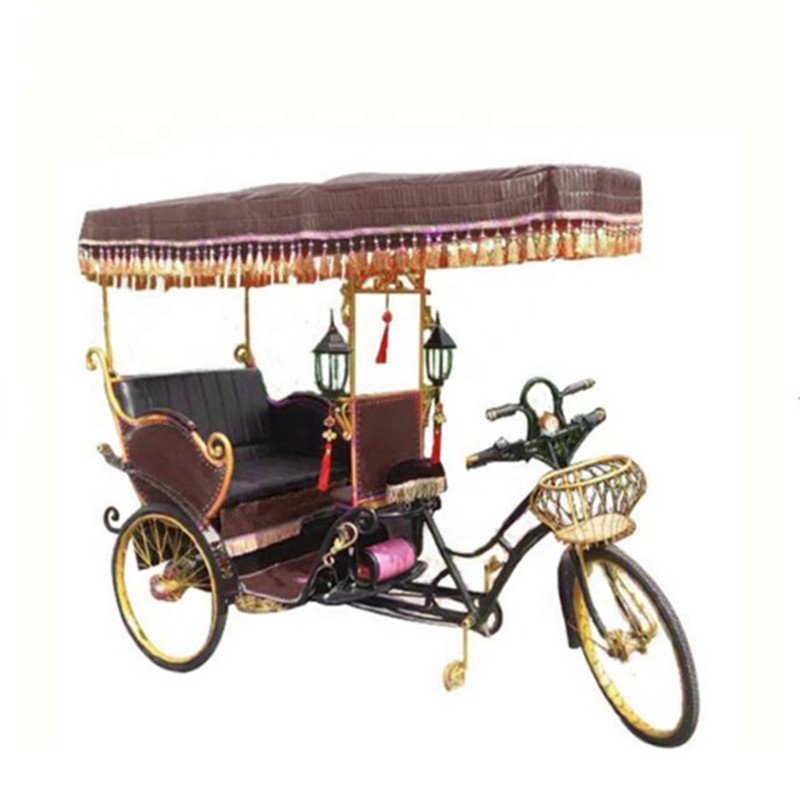 2/3/4/6/passengers Tricycle Tourist Electric Pedicab Rickshaw Auto Rickshaw for Travel