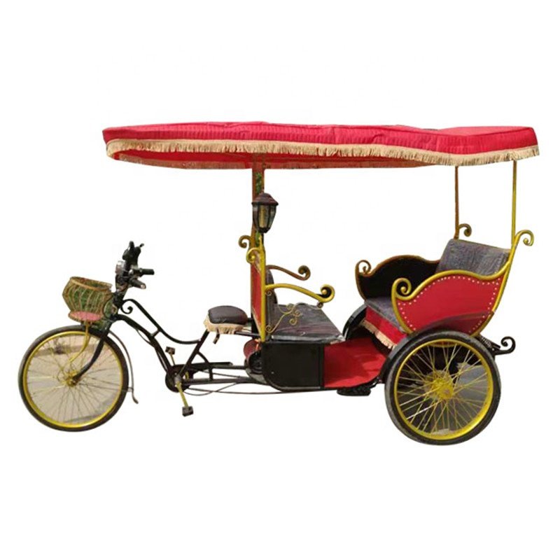 2/3/4/6/passengers Tricycle Tourist Electric Pedicab Rickshaw Auto Rickshaw for Travel