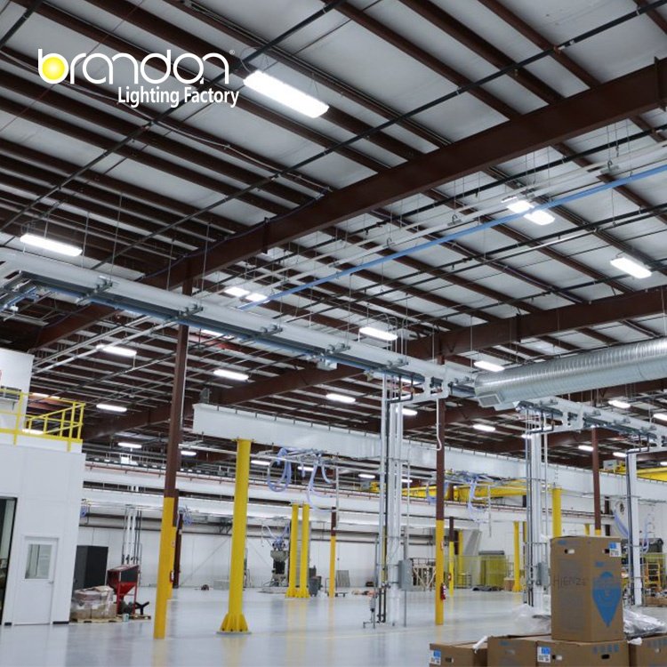 Brandon Wholesale 100W LED Waterproof Lighting With Etl 4ft LED Batten Cold Room Triproof LED Light Vapor Tight High Bay