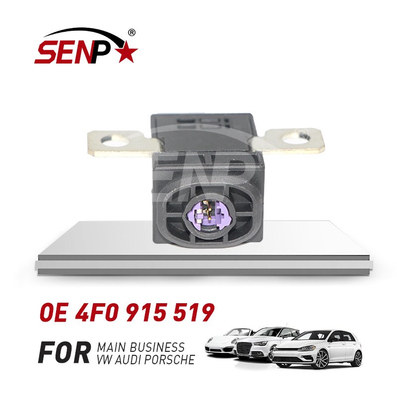 SENP Battery Fuse Overload Protection Trip for vw Touareg audi Q5/Q7 Wholesale Engine Spare Parts OEM 4F0 915 519 4F0915519