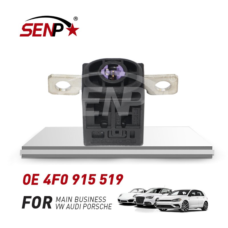 SENP Battery Fuse Overload Protection Trip for vw Touareg audi Q5/Q7 Wholesale Engine Spare Parts OEM 4F0 915 519 4F0915519