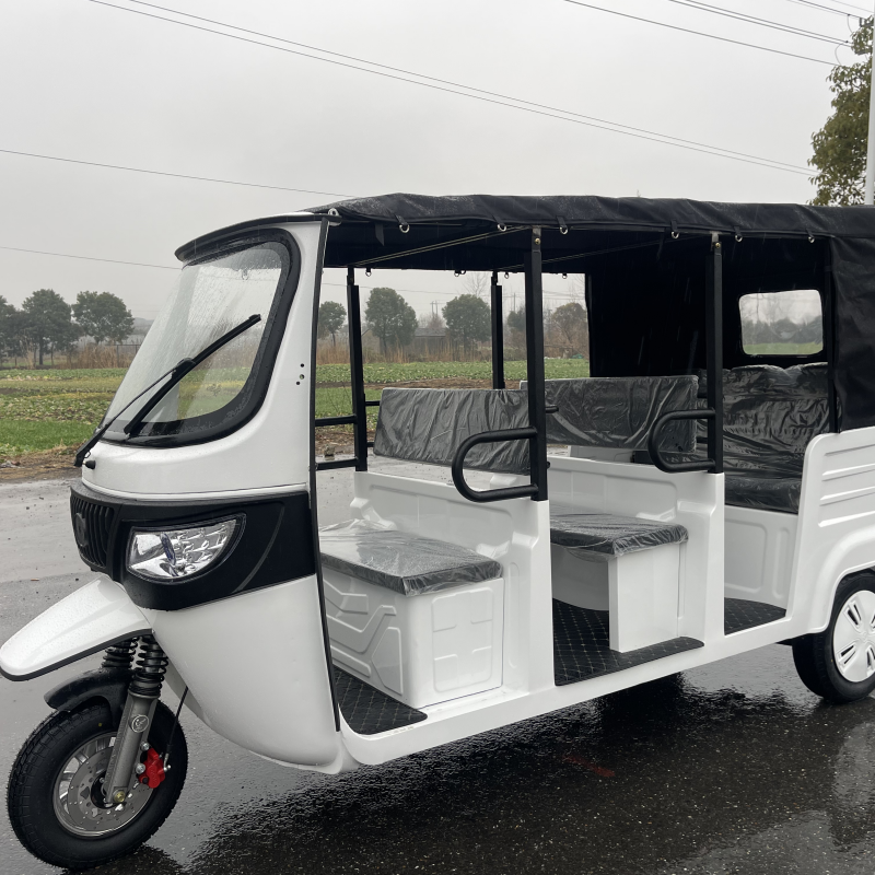 Hot Selling China Price Tuk Tuk Moto Taxi 1000w Eletricycle Passenger Tricycle Electric Rickshaw in China