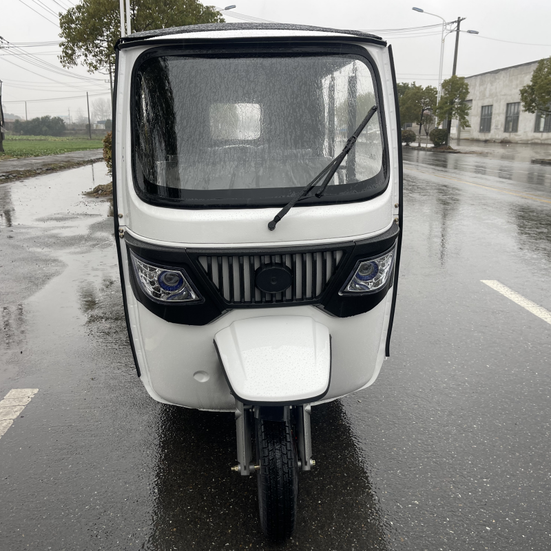 Hot Selling China Price Tuk Tuk Moto Taxi 1000w Eletricycle Passenger Tricycle Electric Rickshaw in China