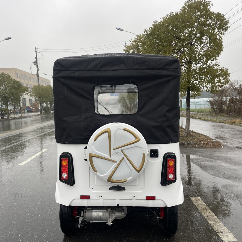 Hot Selling China Price Tuk Tuk Moto Taxi 1000w Eletricycle Passenger Tricycle Electric Rickshaw in China