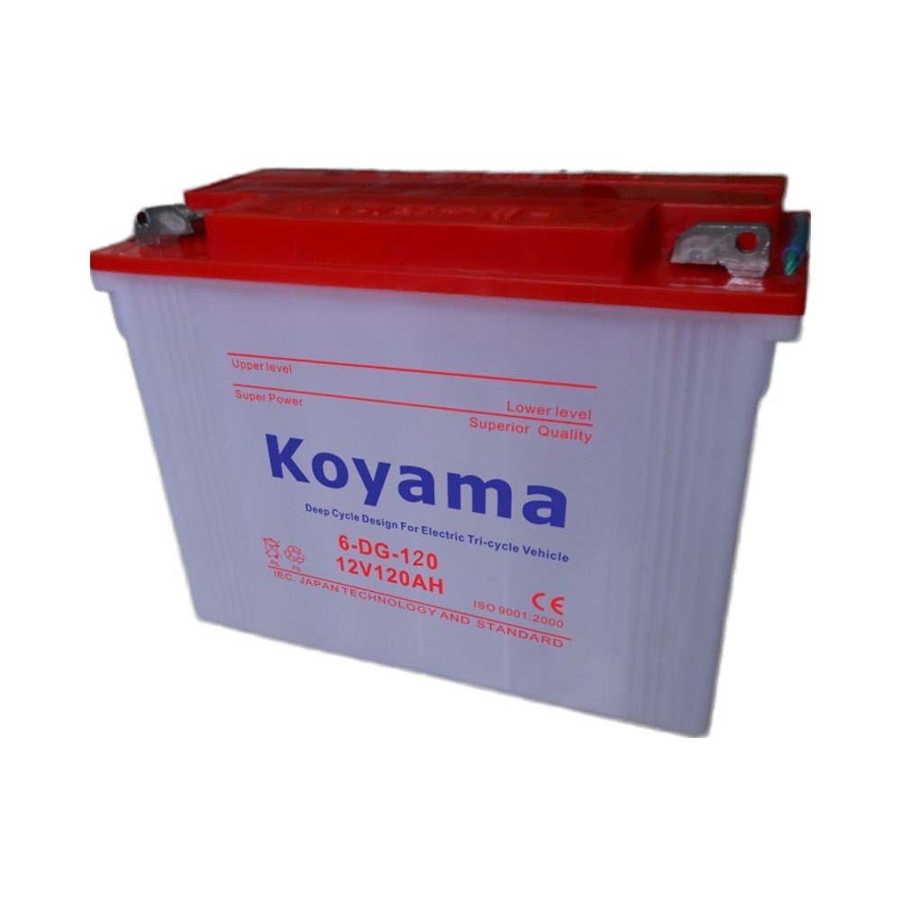 Auto Rickshaw Battery for Sale 6-DG-120A Dry Charged Rickshaw Battery