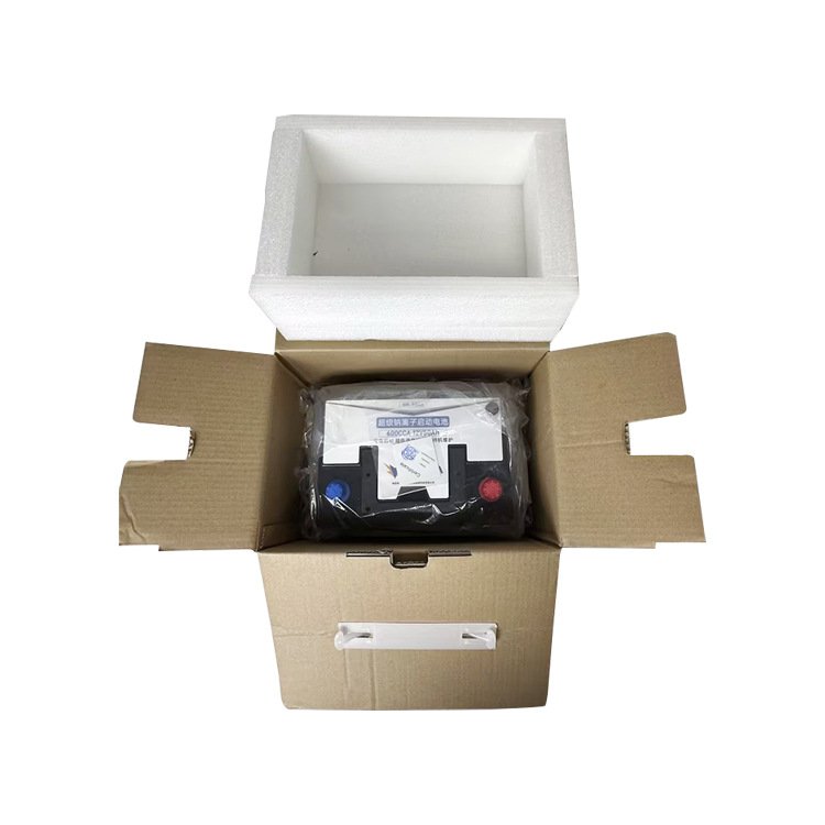 DIN55 55559 12V 50ah Auto Sodium Ion Batteries European DIN Standard Free Power Car Battery Autobatterien Auto Batteries