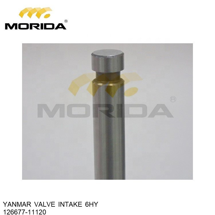 6HY 126613-11120 VALVE SPRING for YANMAR