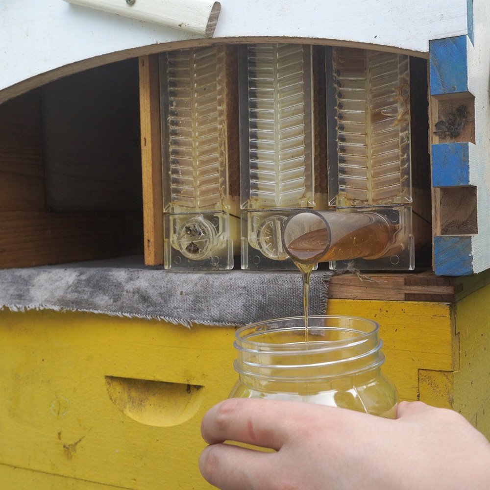 Auto Flowing Beehive Honey Box Bee Hive Automatic Honeybee Hive With 7Pcs Flowing Frames Starter Kit