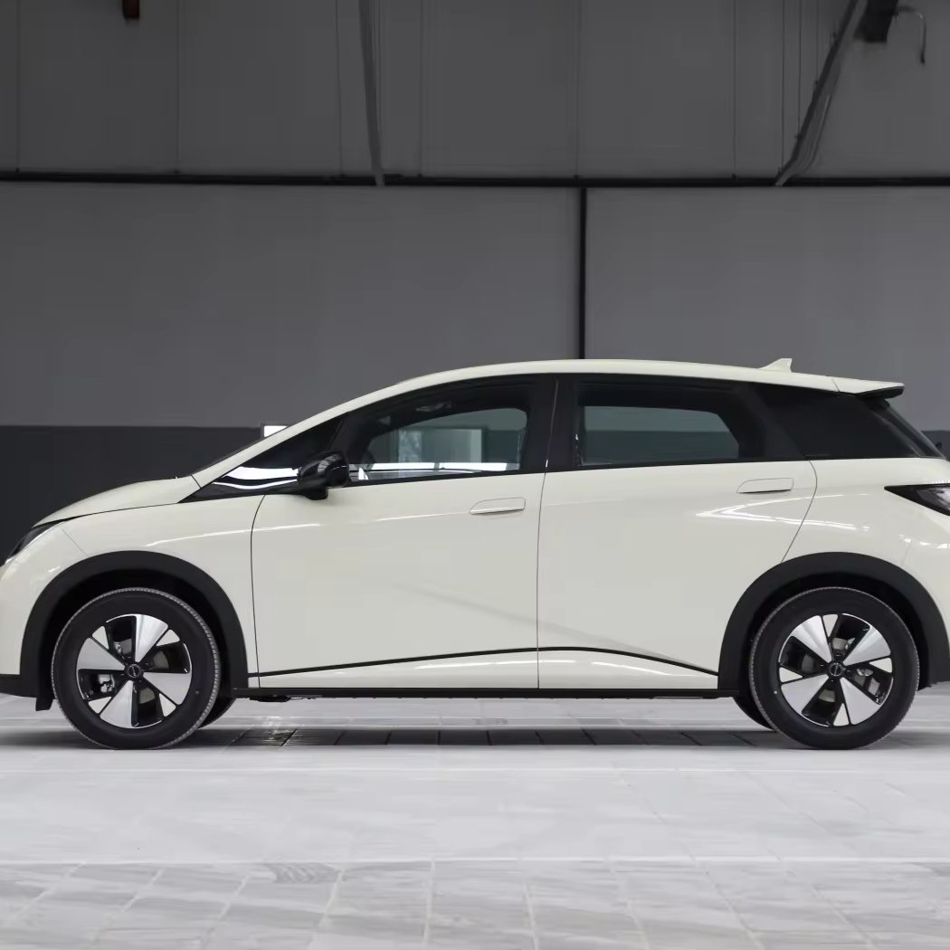 Mini Electric Vehicle Dolphin Byd New Energy Vehicles Mini Ev Car 2024 Byd Dolphin Electric Mini Car China Ev Car