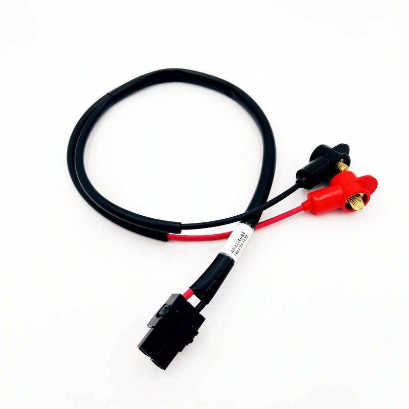 Custom Automotive Auto EV Ebike Engine Wire Connectors Electrical Copper Wire Car Wiring Harness