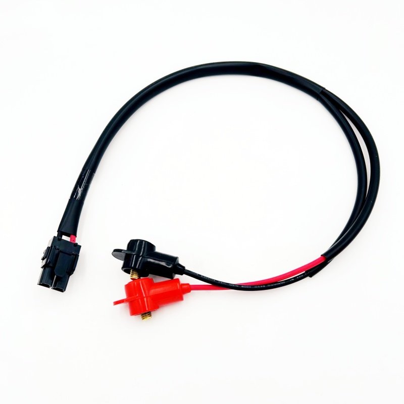 Custom Automotive Auto EV Ebike Engine Wire Connectors Electrical Copper Wire Car Wiring Harness