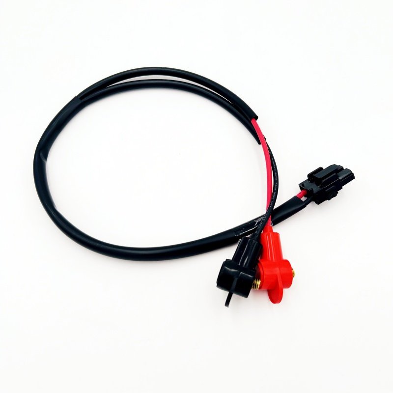 Custom Automotive Auto EV Ebike Engine Wire Connectors Electrical Copper Wire Car Wiring Harness