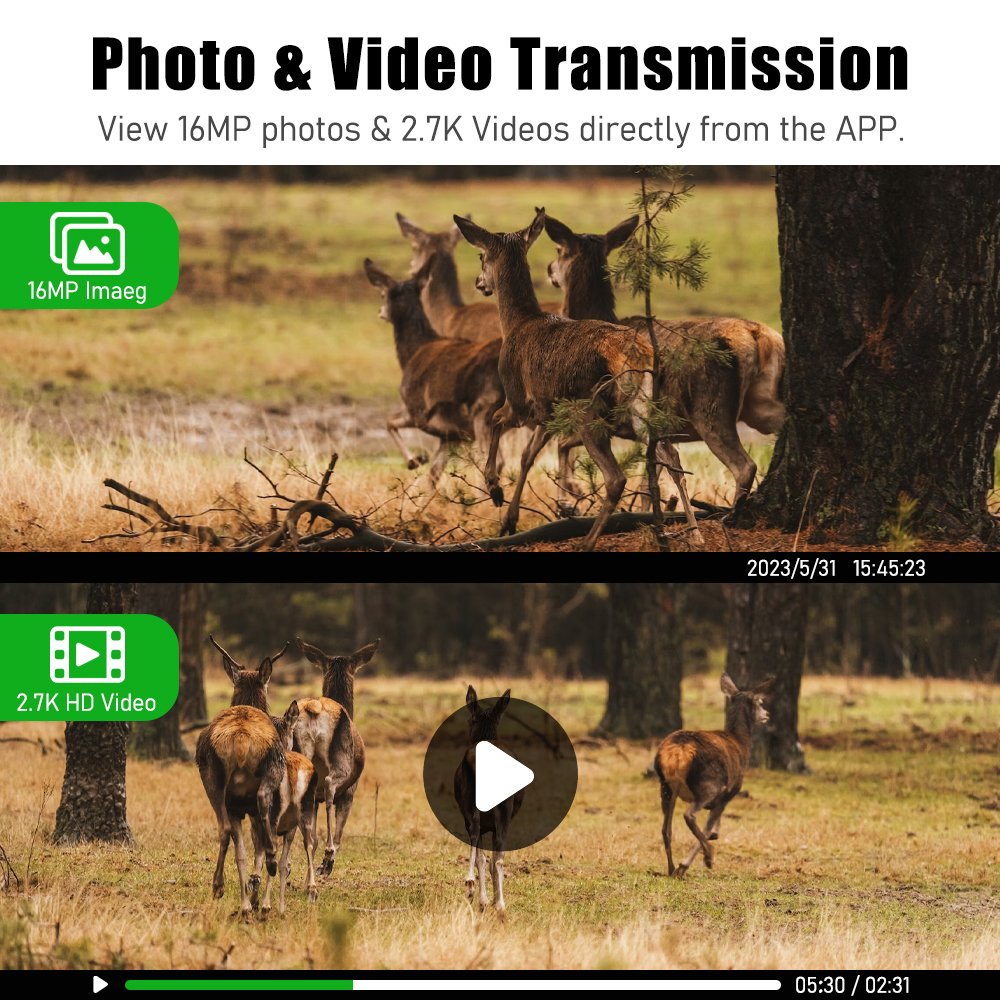 EU 4G IR Night Vision 4MP HD Game Camera 0.2S Trigger IP66 Waterproof Camera Webcam for Wild Hunting Wildlife Hidden Camouflage