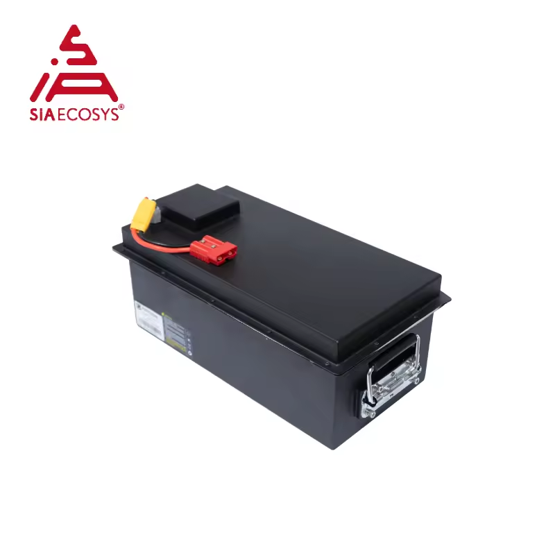 SiAECOSYS 60V 42Ah LFP Battery Pack in Parallel for Auto Rickshaw Electric Conversion Kits