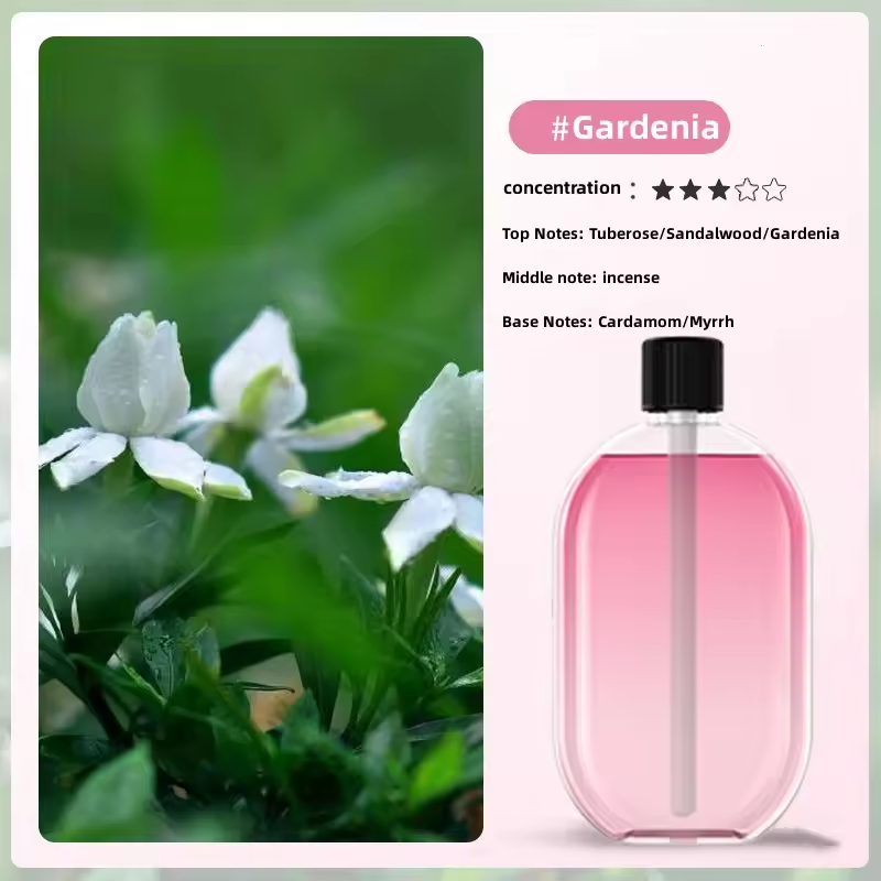 Portable Automatic Essential Oil Diffuser Auto Aromatherapy Bathroom Deodorizer Machine Hotel Spray Fragrance Machine